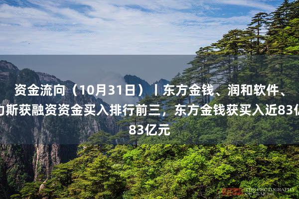 资金流向（10月31日）丨东方金钱、润和软件、赛力斯获融资资金买入排行前三，东方金钱获买入近83亿元