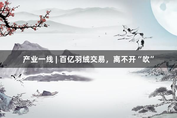 产业一线 | 百亿羽绒交易，离不开“吹”