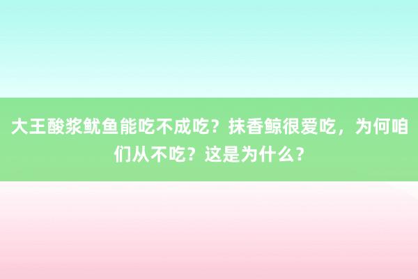 大王酸浆鱿鱼能吃不成吃？抹香鲸很爱吃，为何咱们从不吃？这是为什么？