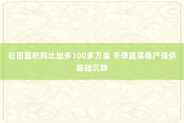 在田面积同比加多100多万亩 冬季蔬菜稳产保供基础沉静